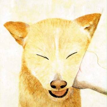 うちのワンコ