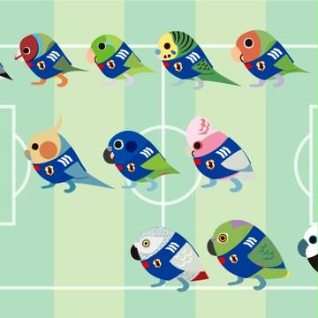 SAMURAI BLUE