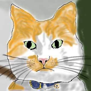 neko