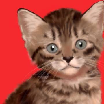 うちの猫(幼少期良太郎)