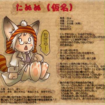 【ぴくうぃば】たぬぬ（仮名）