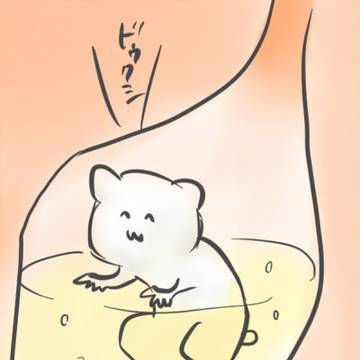 犬