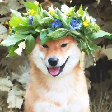 花飾りと柴犬