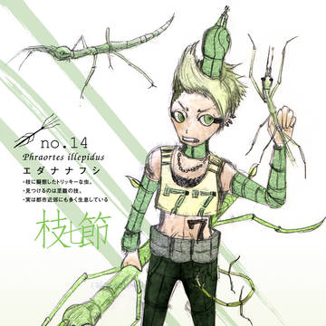 エダナナフシ