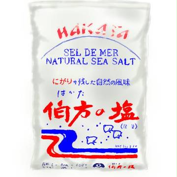 【模写】伯方の塩【無理です】