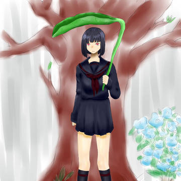 梅雨の時期・・