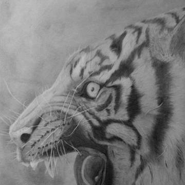 Tiger I