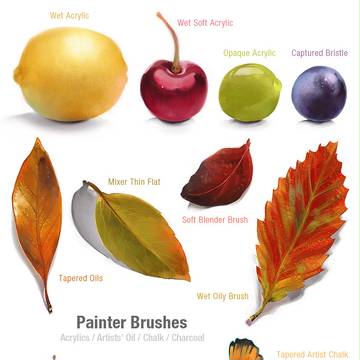 Painter Brushes 練習