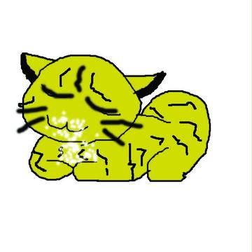 うちの猫