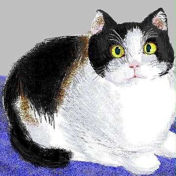 ねこねこ模写