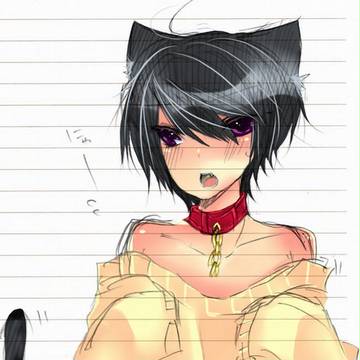 ぬこたん