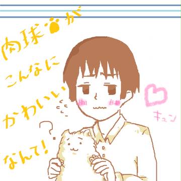 肉球、最高！！・・ですよねー