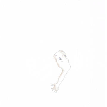 わからぬもの