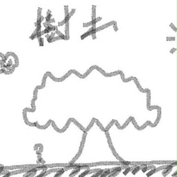 樹木