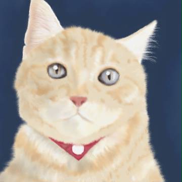うちの猫(幼少期侑斗)