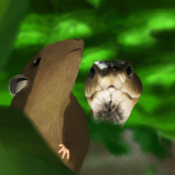鼠です