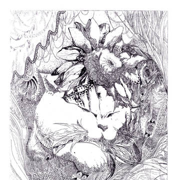 Consolations#6 kago-neko