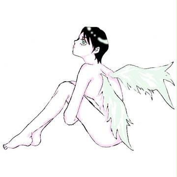 羽根