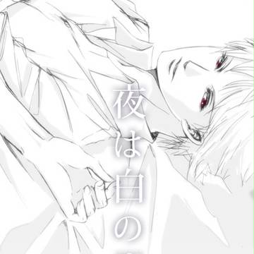 夜は白の世界【小説表紙】