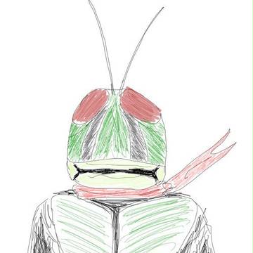 iPadからライダー