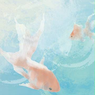 金魚