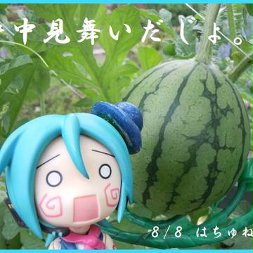 【ねんどろいど】はちゅねの暑中見舞い【だじょ】