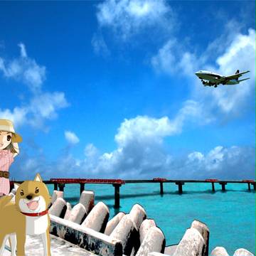 柴犬と行く3泊4日下地島の旅