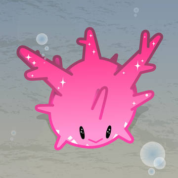サニーゴ