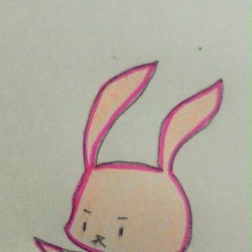 ウサギ
