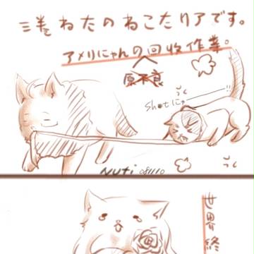 ネコタリアの三卷ネタ