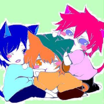 こぬこ３匹