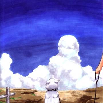 夏の宙