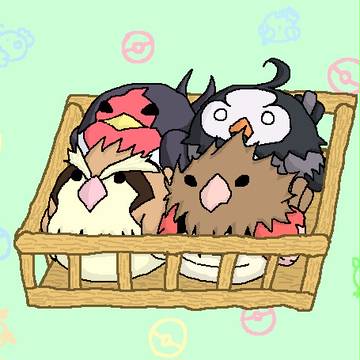 数量限定土産・4種のことり詰め合わせ