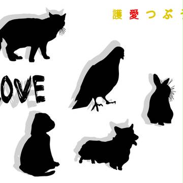 動物愛護