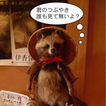 ついったぬき：使用例