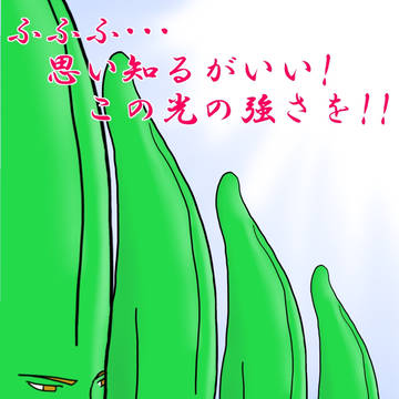 見るがいい！これが我が残暑見舞いよ！！
