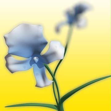 花-壹