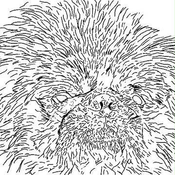 犬