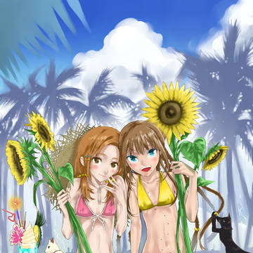 sunflower