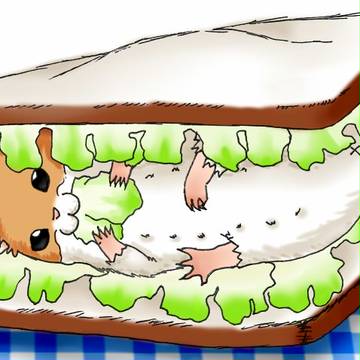 ハムサンド（塗り絵）
