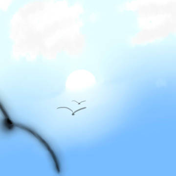 umikarasu