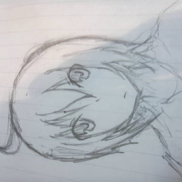 らくがき