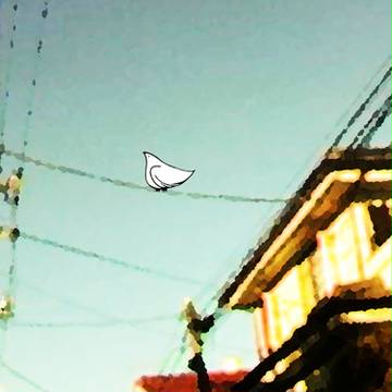 電線と鳥