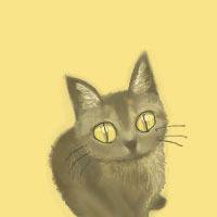 うちのねこ