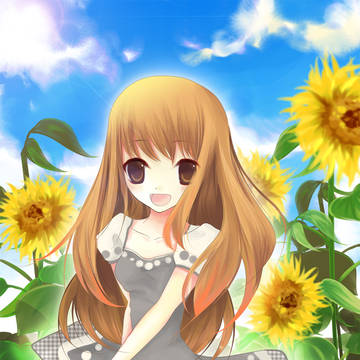葵