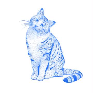 ねこ