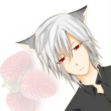 猫耳少年