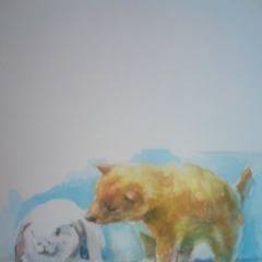 犬とウサギ