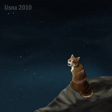 リキ