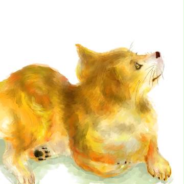 家のわんこ
